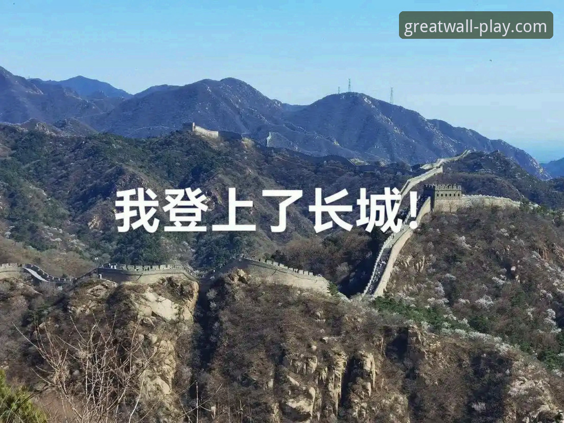 长城体育官网手机版安装失败？从根源到解决方案的完整指南